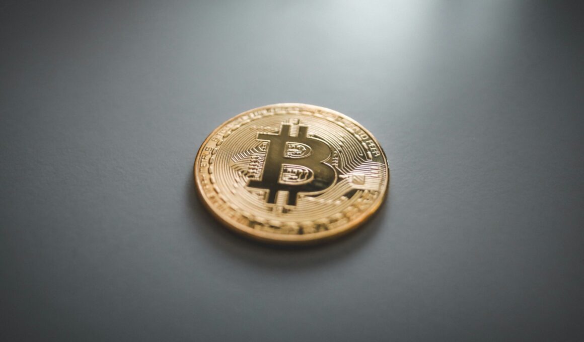 Bitcoin Price Prediction Soaring to New Heights